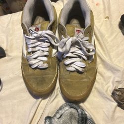 Vans Skate Shoes