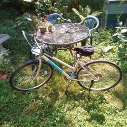 Bicycle For Sale
