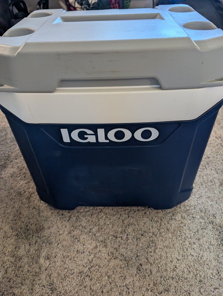 Cooler 64QT IGLOO