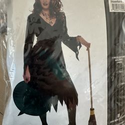 Halloween Adult Costume Wicket Witch Dress