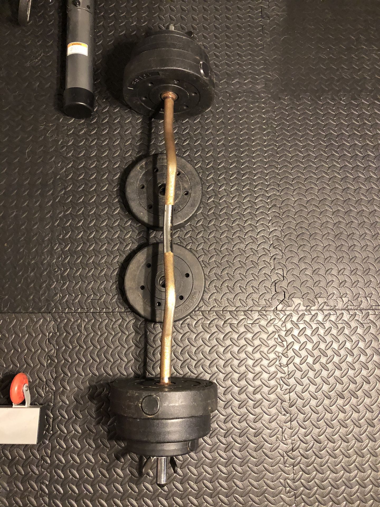 Curl Bar with Weights
