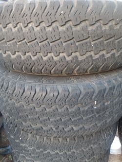 17 rims