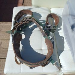 Climbing Harness