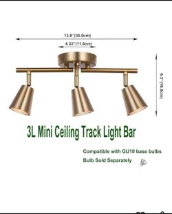 Track light fixture