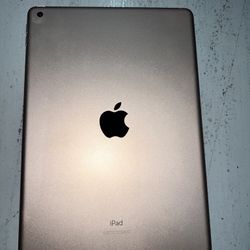 (HUGE) Storage Unit Sale – Apple iPad