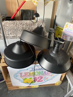 Light fixtures   $50 all
