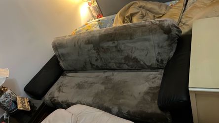 Free velvet couch