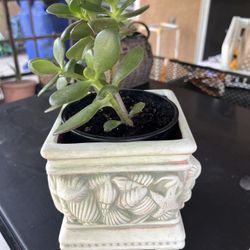 Love ❤️ Jade . Long 5 Inches, Width 5 Inches, Hight 5.5 Inches 