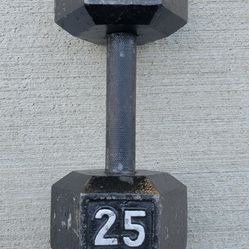 25lb Dumbell