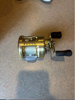 Daiwa Team Daiwa Luna 253 Baitcasting Reel Gold Made in Japan