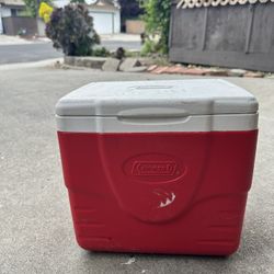 Small Colman Ice Chest 