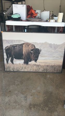 Buffalo canvas wall decor