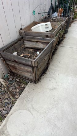 Planter and soil