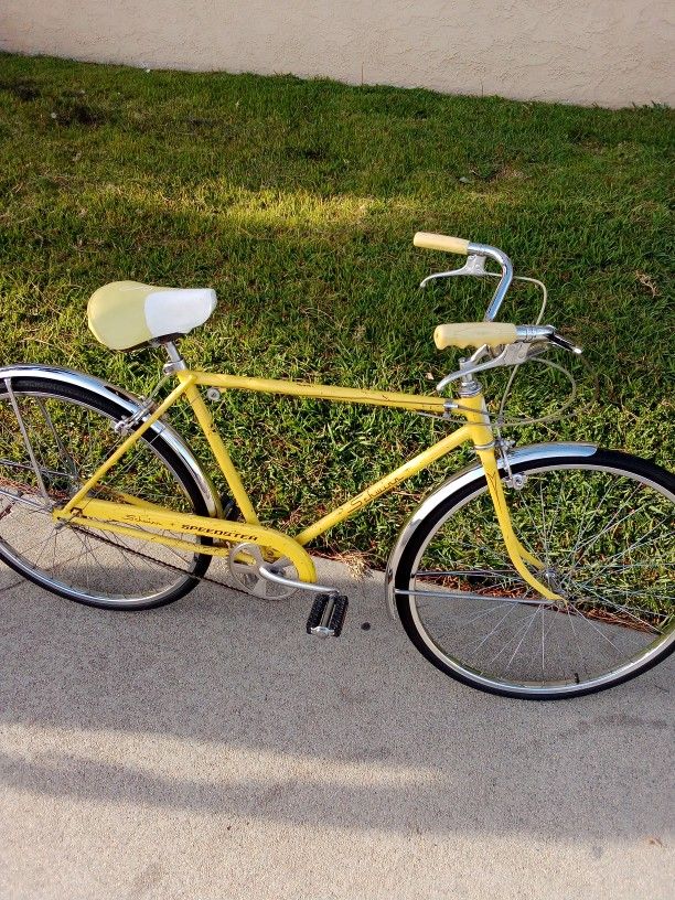 Beach Cruiser