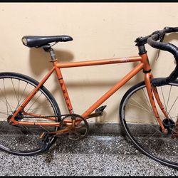 Fuji Bike Fixed Gear 