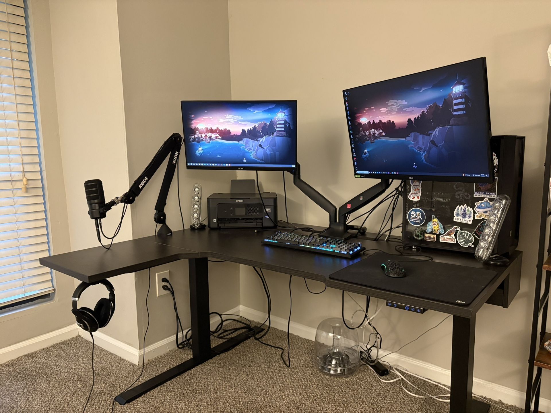 PC Gaming setup 