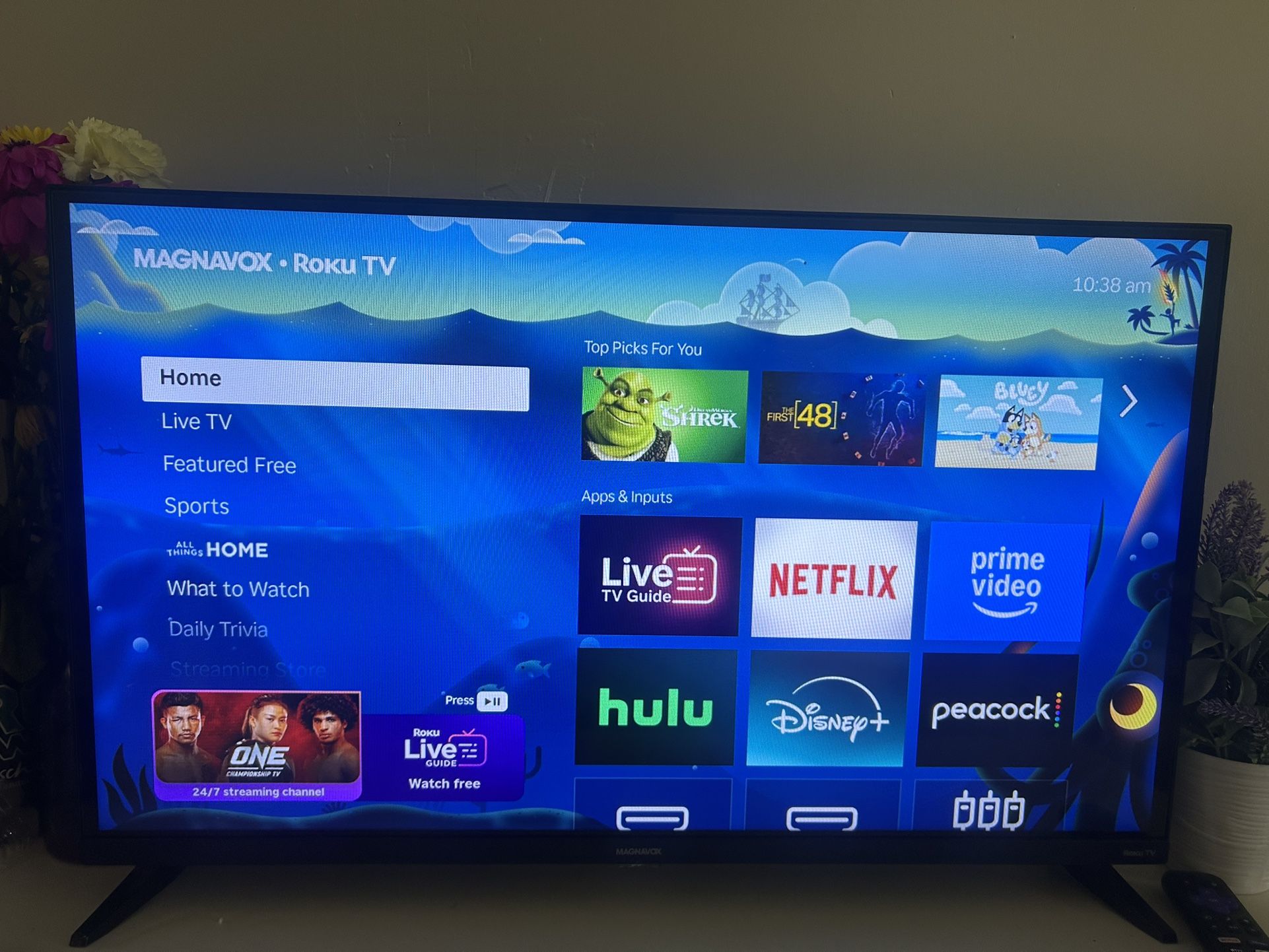 Roku Tv