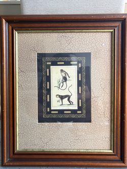 Vintage Framed Monkey Botanical-Style Print