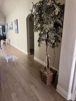Large Artificial Indoor Tree with Wicker Basket