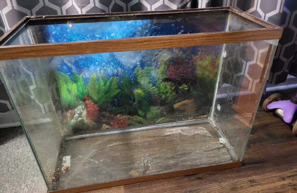 Glass Tank (40 gallon)