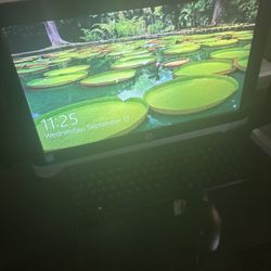 Computer Desktop Works Perfect 