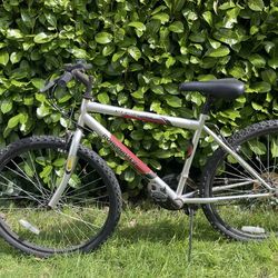 Roadmaster Mt Fury Mountain Bike – Affordable Project Bike