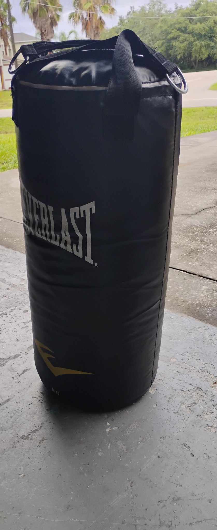 Everlast exercise Punching Bag