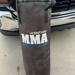 Punching Bag 