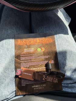 2-Day GA Wasteland Ticket