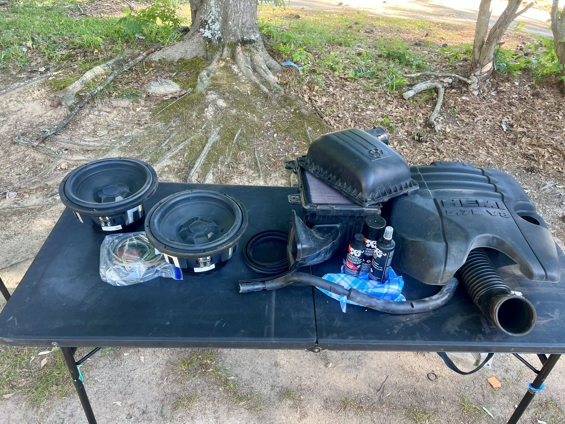 12 Inch Subs And Motor Cover