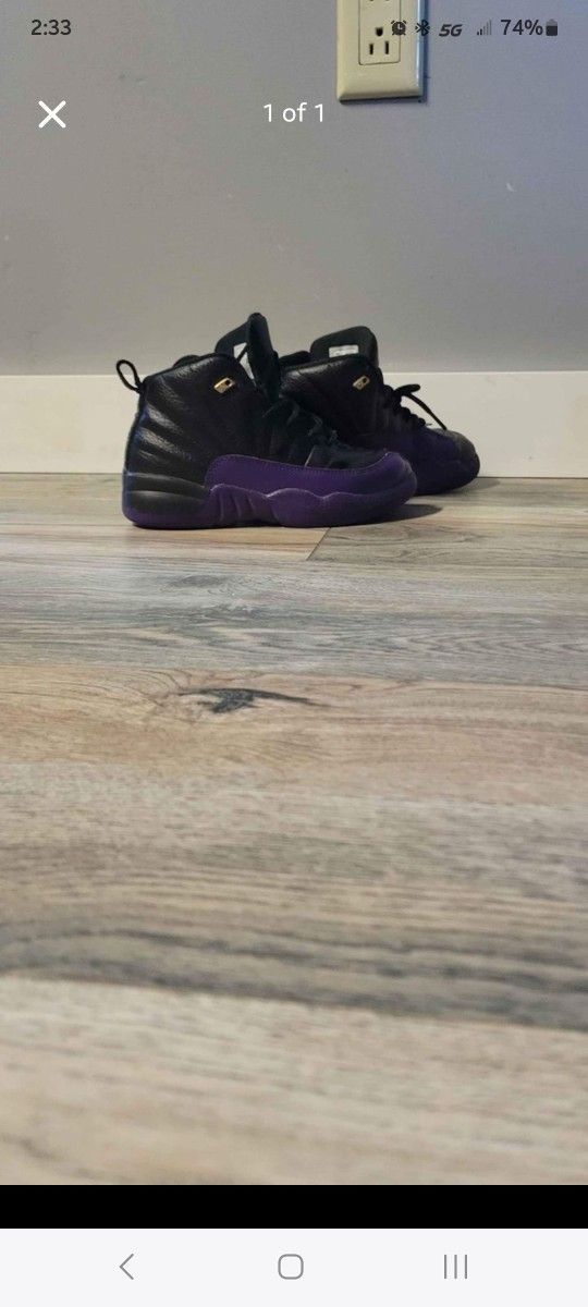 Jordan 12s 