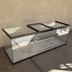 Reptile Glass Tank – 48” x 16” – $20 OBO