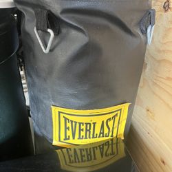 Everlast Punching Bag