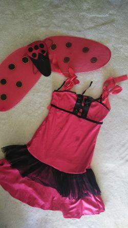 Ladybug Halloween costume