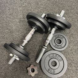 PRISP Adjustable Dumbbell Set - Cast Iron Weight Plates, 2 Threaded Bars & Star-Lock Collars for Hom