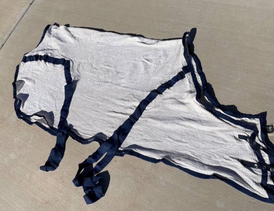 Horse sheet Anti-sweat Cotton By Curvon