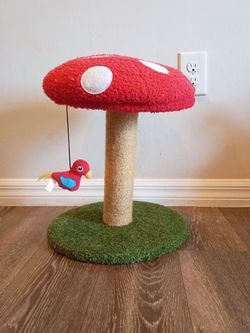 Mushroom Cat Scratcher