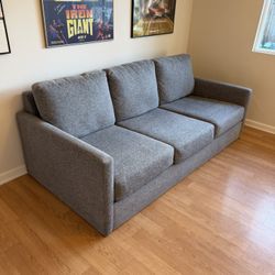 Living Spaces Couch Basically New