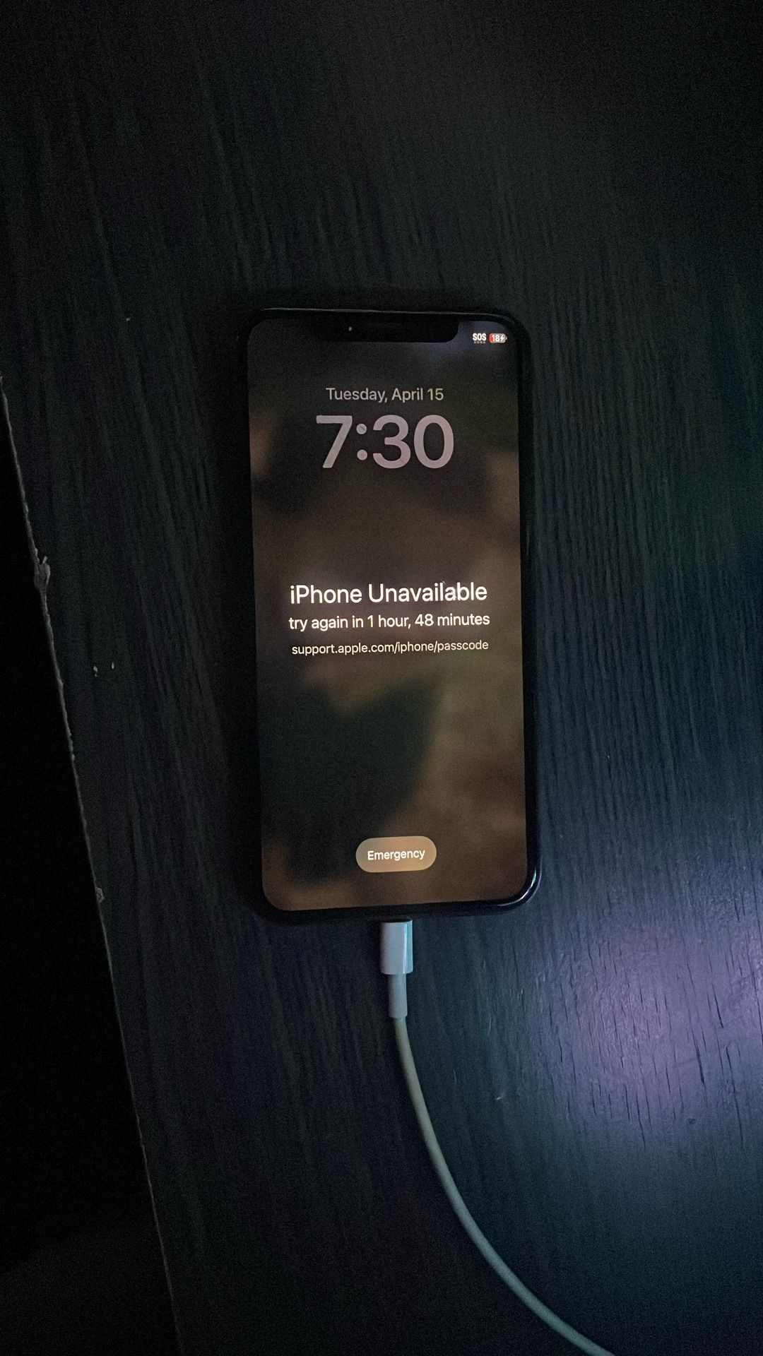IPHONE X (64 Gb)