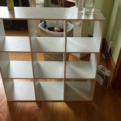 Shelves Case 