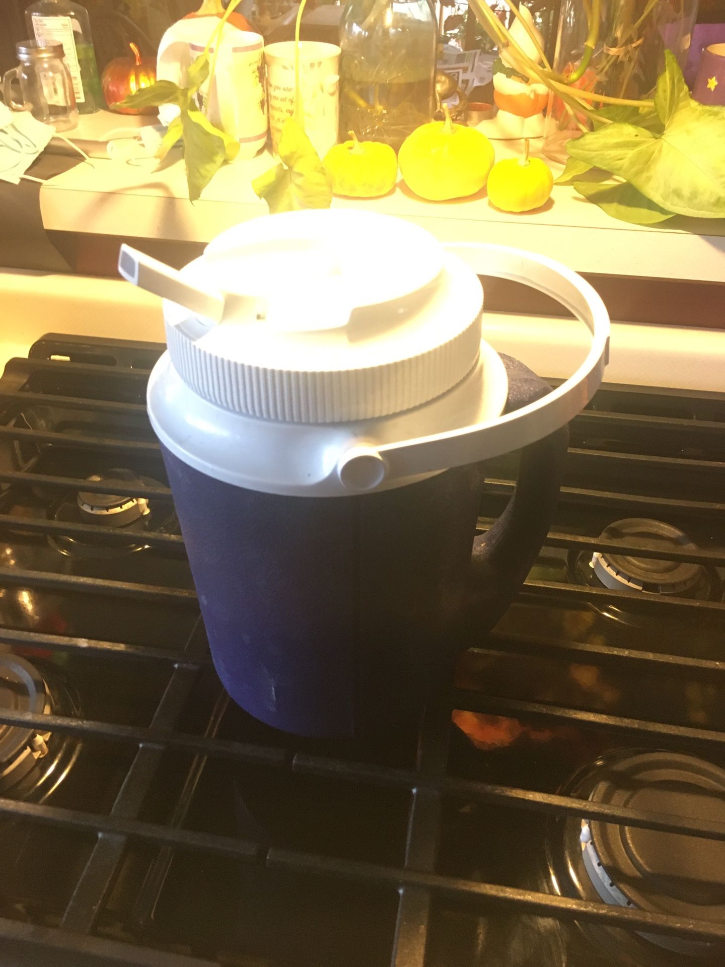 Rubbermaid Gott 1/2 Gallon Water Jug Model 1522. Made In the USA. $8 East Dundee . Hundreds of other items to look at.