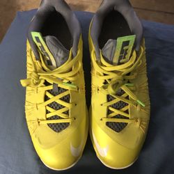 Nike Air Max Lebrons