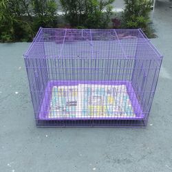 Bird Cages  Cockatiel  Love 