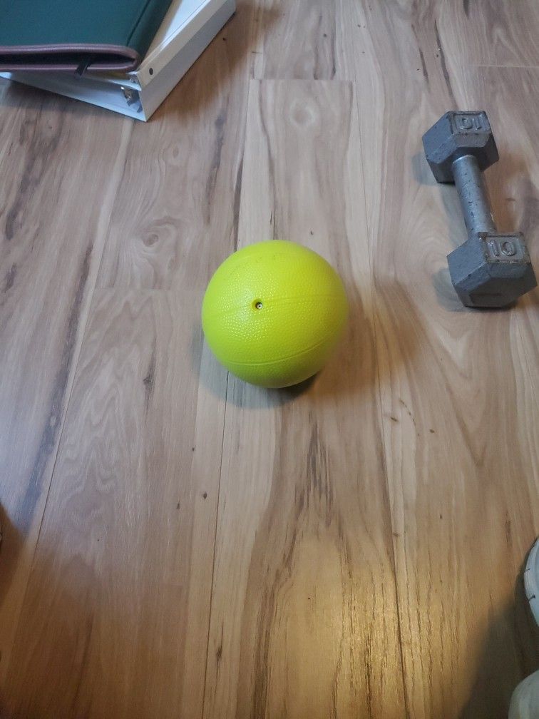 5 Lb Medicine Ball