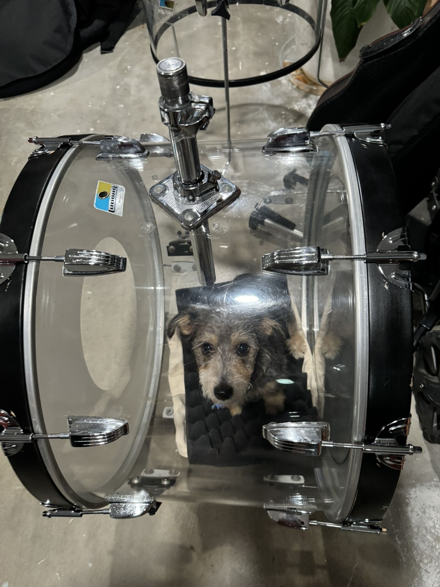 1970’s blue and olive badge Ludwig Vistalite Drum Set