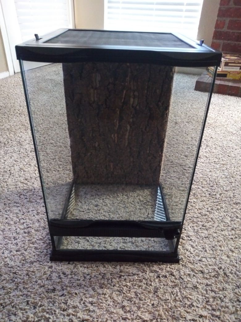 Naturalistic Terrarium 12×12×18 with built-in screen top