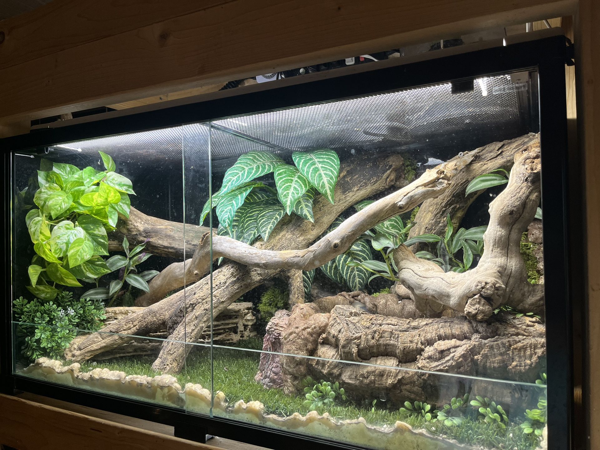 36x18x18 Glass Reptile Enclosure