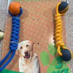 Dog Toys