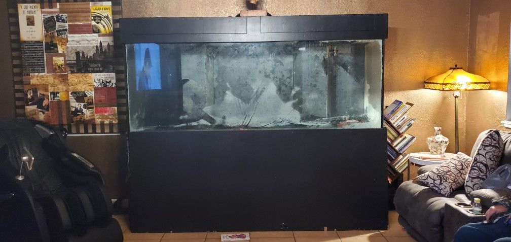 Huge Fish Tank