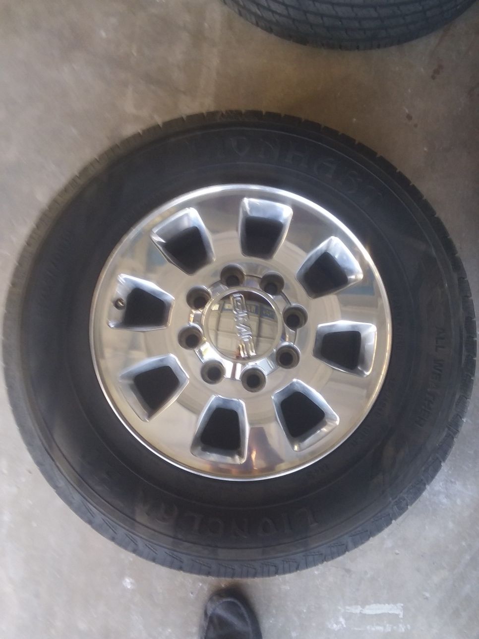 8 lug